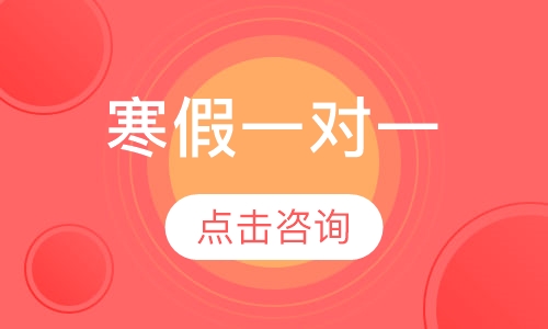 寒假一对一