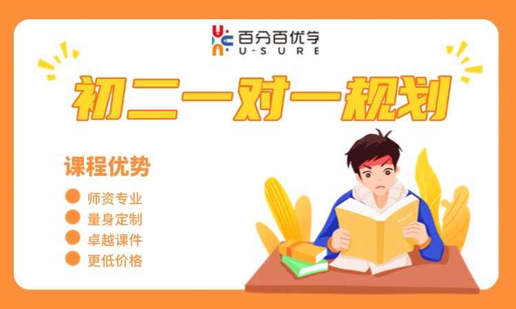 初二一对一规划