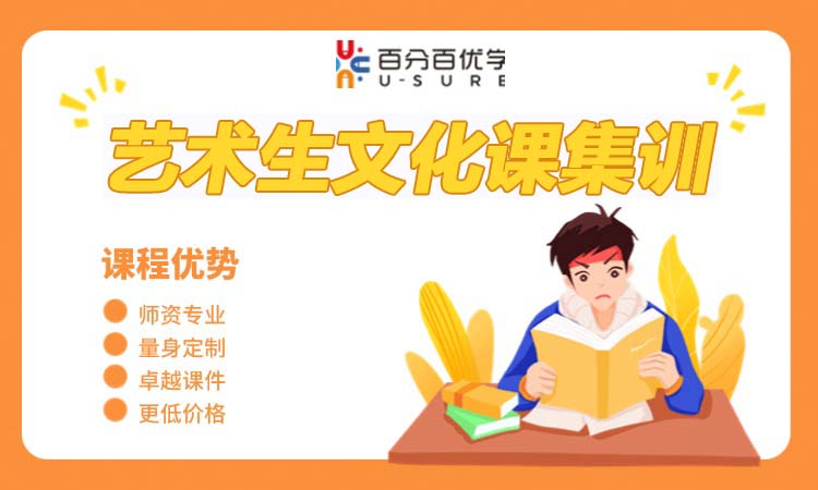 艺术生文化课集训