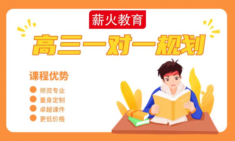 高三 一对一辅导